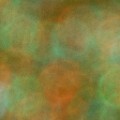 Bokeh-483
